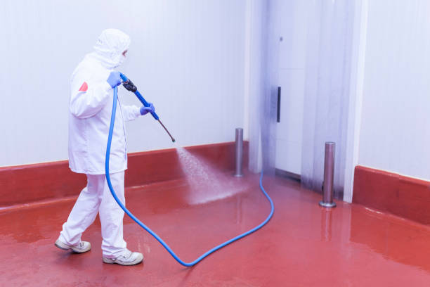 Best Patio and Deck Pressure Washing  in Wedgefield, SC
