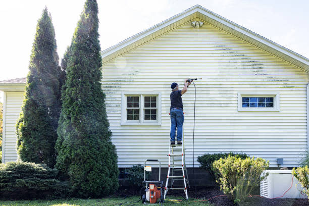 Pre-Holiday Cleaning in Wedgefield, SC